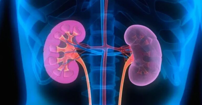 تحقیق کے مطابق نائٹ شفٹ میں کام کرنے والے افراد کے گردوں کو سنگین مسائل لاحق ہوسکتے ہیں۔