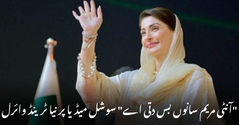 مریم نواز کی ویڈیو وائرل، نوجوان کا جملہ "آنٹی مریم سانوں بس دتی اے" سوشل میڈیا پر چھا گیا،
