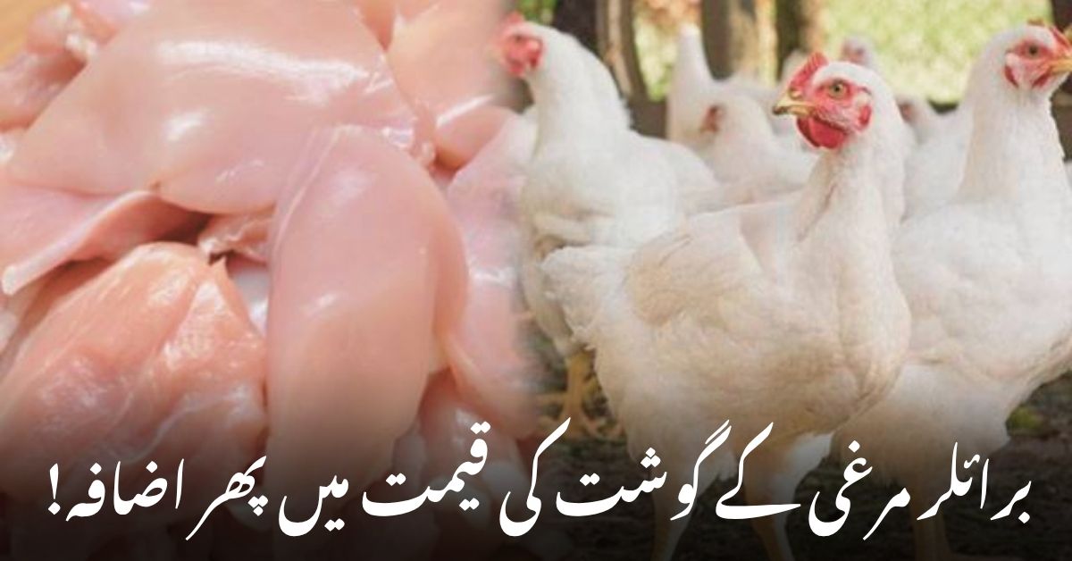 3 اکتوبر 2025 برائلر مرغی کے گوشت کی قیمت 14 روپے بڑھ کر 446 روپے فی کلو ہو گئی۔
