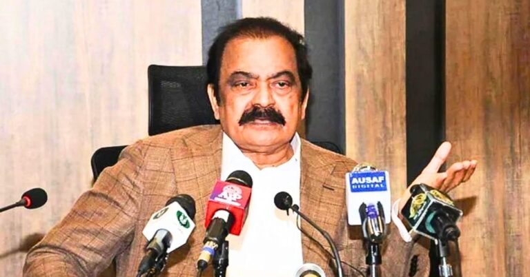 لوگوں کو ریلیف دینا چاہتے ہیں لیکن آئی ایم ایف شرائط کی وجہ سے نہیں دے پارہے: رانا ثنااللہ