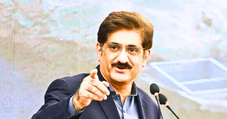 وکلا کو آئینی عدالت پسند نہیں آ رہی، وکلا کا کام دلائل دینا ہے: وزیر اعلیٰ سندھ