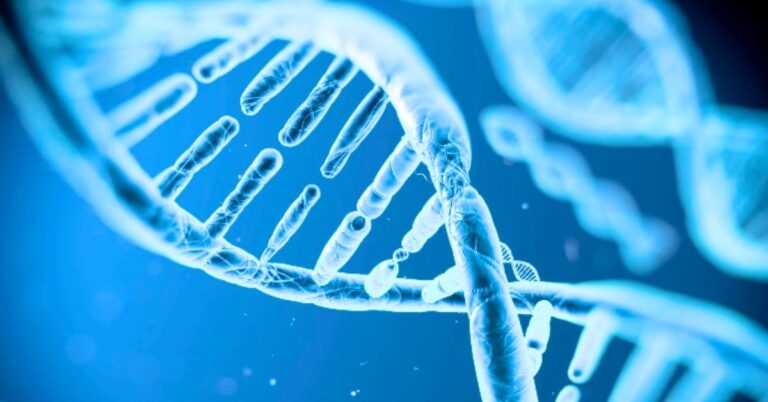 سائنسدانوں نے لوگوں کی لمبی عمر کے پیچھے چھپا راز جان لیا: جینز کا کردار دوگنا سے زیادہ