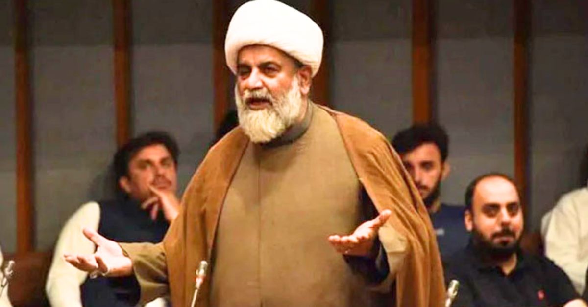 راجہ ناصر عباس