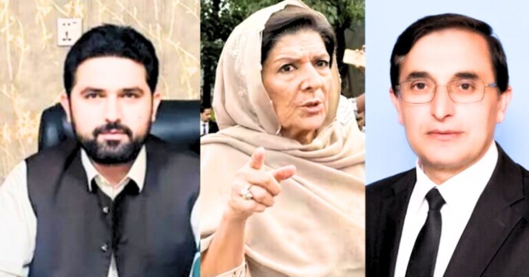 سہیل آفریدی and بیرسٹر گوہر, علیمہ خان